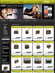 品牌包包網(wǎng)店