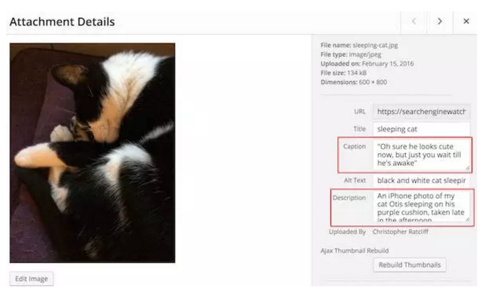 外貿(mào)自建站如何做好圖片的SEO優(yōu)化，一圖勝過千言