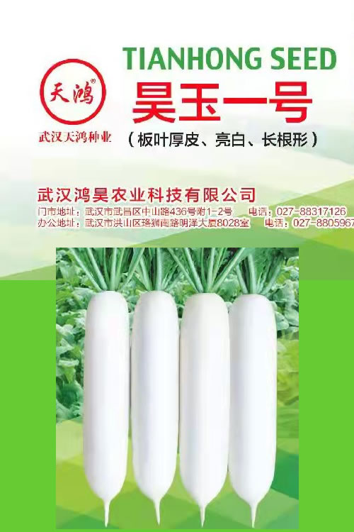 智淇網(wǎng)絡(luò)客戶(hù)評(píng)價(jià)